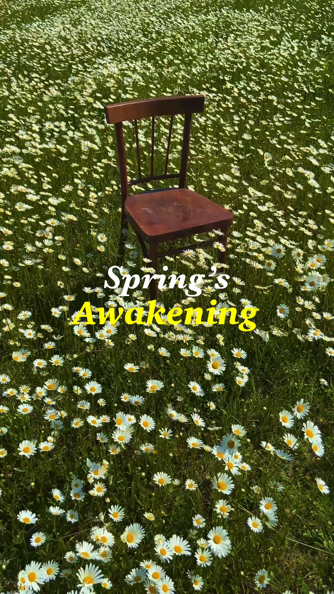 Spring Awakening Reel