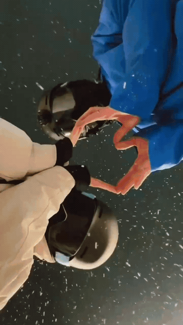 Love Slide Reel