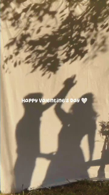 Love Frame Reel