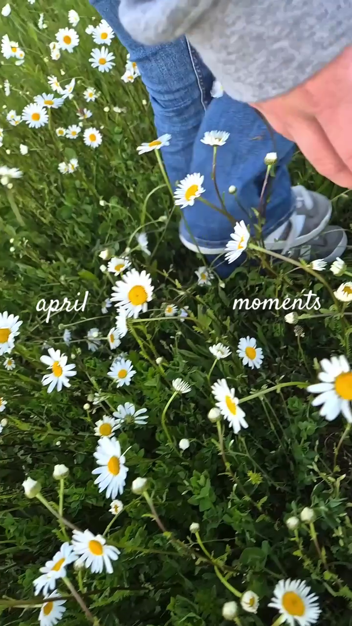 April Photo Dump Reel Template