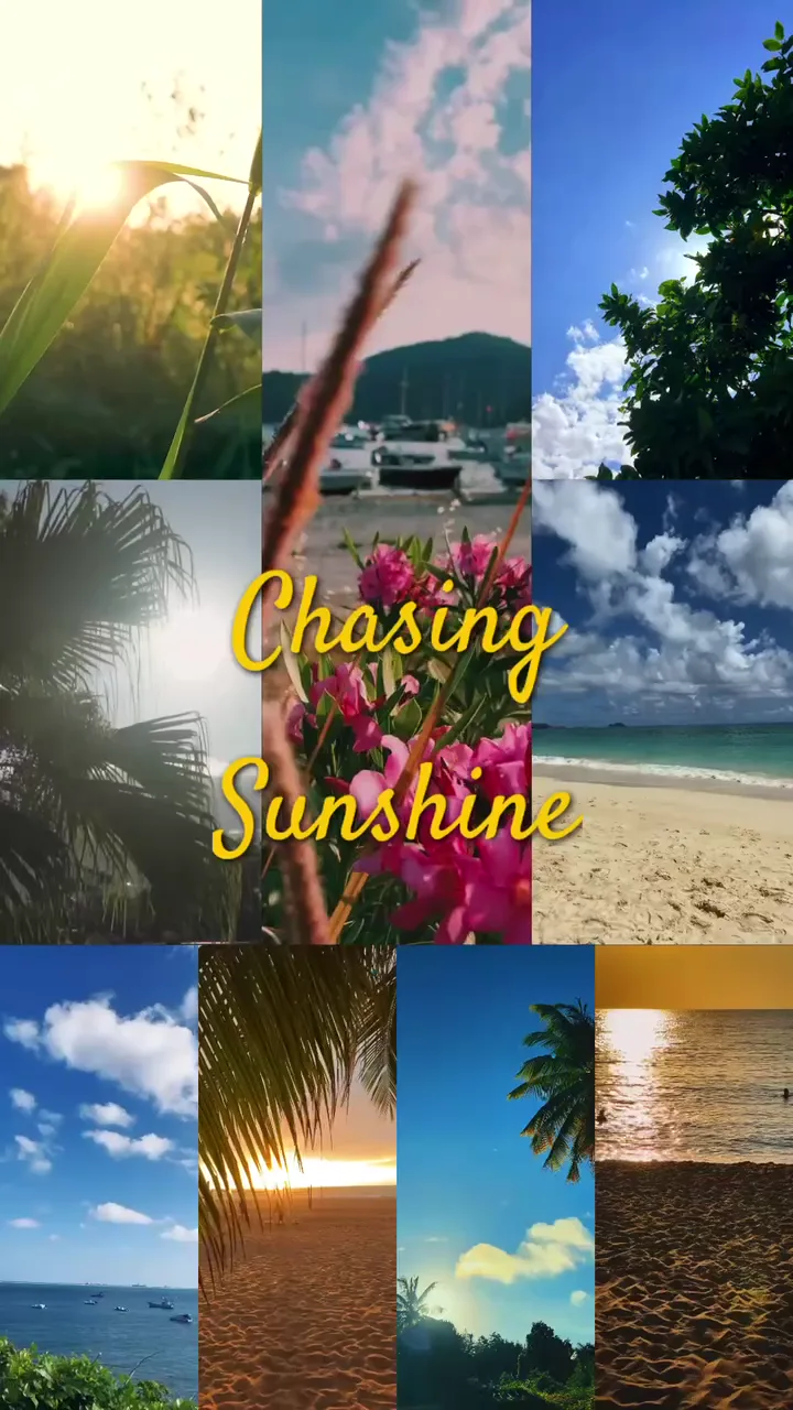 Chasing Sunshine