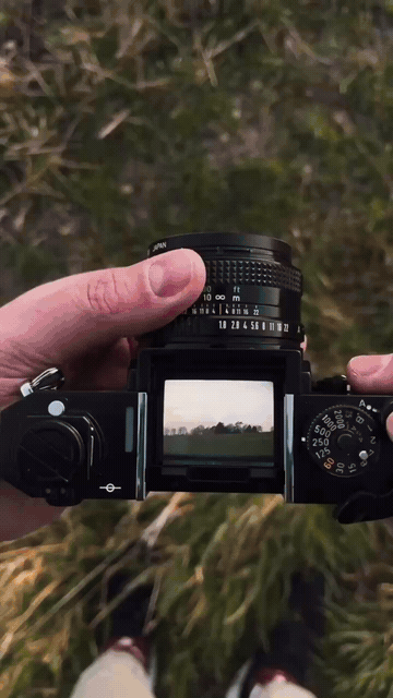 Shutterbug Reel