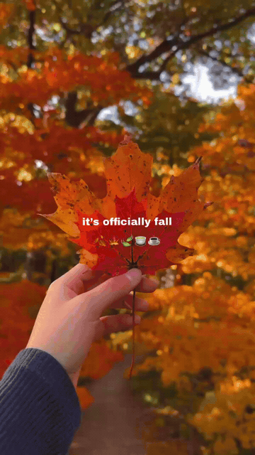 Officially Fall Reel