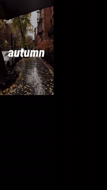 Autumn in the city